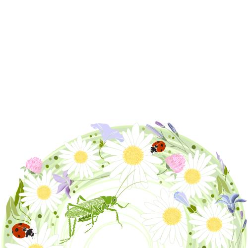 Klee. Vektor Blumen, Insekten, Platz fuer Text auf weissem