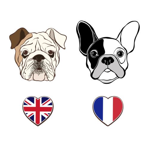 Französische. Vektor Köpfe englischer und französischer Bulldoggen, britannische und französische Flaggen in Herzform