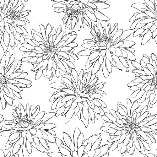 Vektorgrafik rudbeckie, konturen von blumen auf weißem