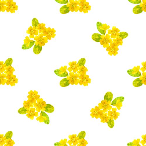 Rasterbild primel, aquarellblumen auf weißem