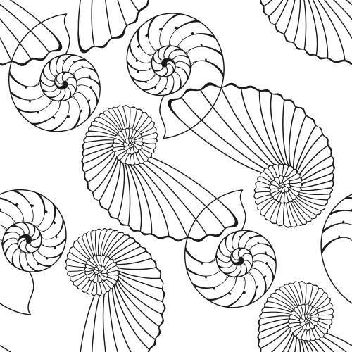 Vektorgrafik nautilus auf weissem