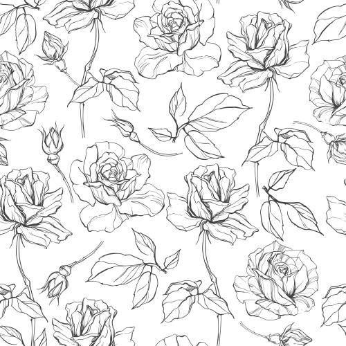 Rose. Vektor rosen auf Weiss