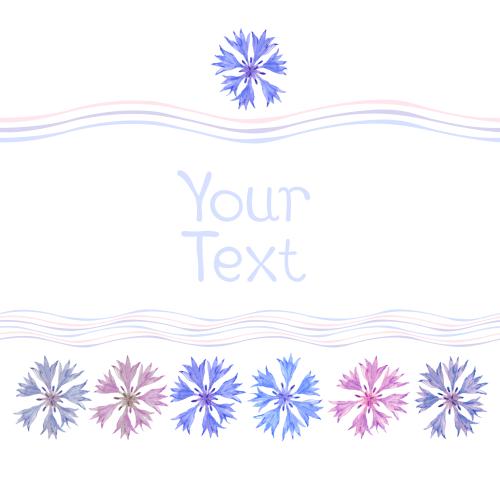 Kornblume. Vektor bunte Violettblumen, horizontale wellenartige Linien und ein Platz für Text auf weißem