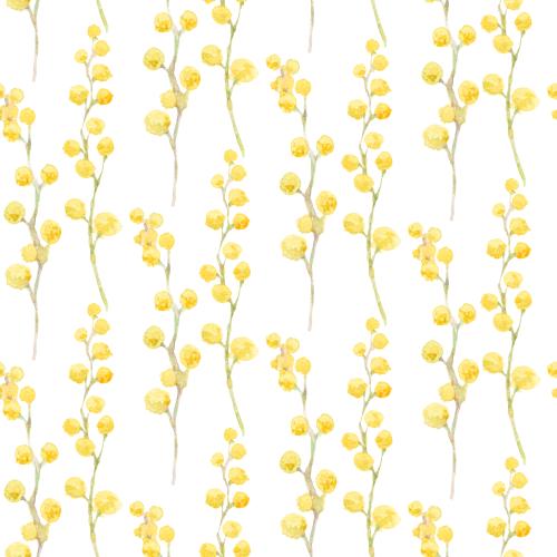 Rasterbild mimose, aquarellzweige auf weißem