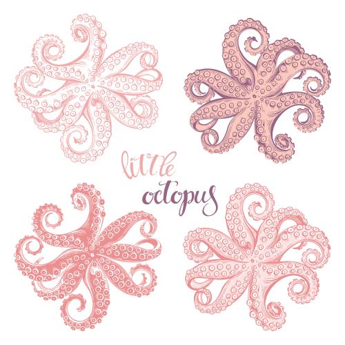 Oktopus. Vektor Oktopusse, vier Varianten auf weißem