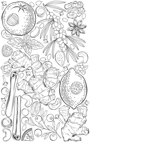 Vektorgrafik vitaminreiche früchte und beeren: zitronen, orangen, ingwer, zimt, kranbeeren, brombeeren, himbeeren, hagebutten, mandeln, haselnüsse, walnüsse, cashewnüsse, platz für text auf weißem