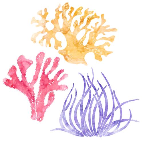 Rasterbild aquarell-unterwasser-pflanzen auf weißem, drei arten