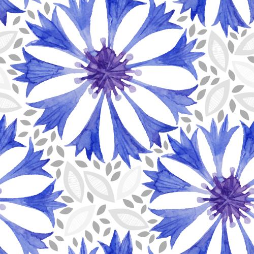Kornblume. Vektor Kornblumen, dekorative Blätter auf weißem