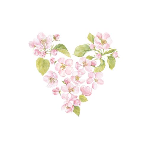 Rasterbild aquarellblumen und apfelblätter, botanische komposition in form eines herzens auf weißem