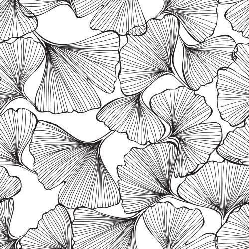 Ginkgo biloba. Vektor Ginkgo biloba, schwarze Konturen der Blätter auf weißem