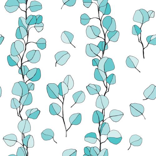 Eukalyptus. Vektor farbige Zweiglein und Blättchen des Eukalyptus auf weißem