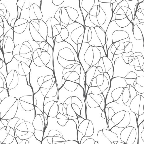 Eukalyptus. Vektor monochrome Eukalyptuszweige, Konturen auf Weiß