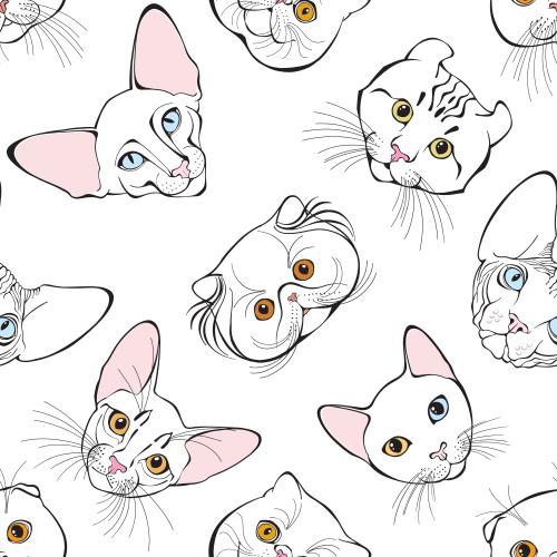 Vektorgrafik gesichter verschiedener katzenrassen auf weißem