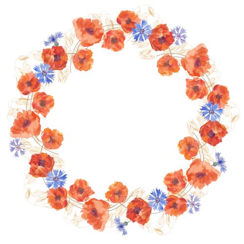 Rasterbild aquarellmohnen und aquarellkornblumen, konturen von haferkolben, runde rahmenwreath auf weißem