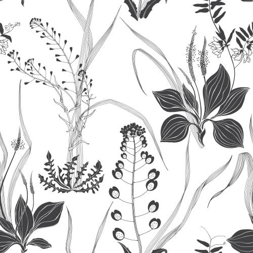 Hirtentäschel. Vektor Gänseblümchen Schafhirtenbeutel Wiesenkräuter und Blumen auf weißem