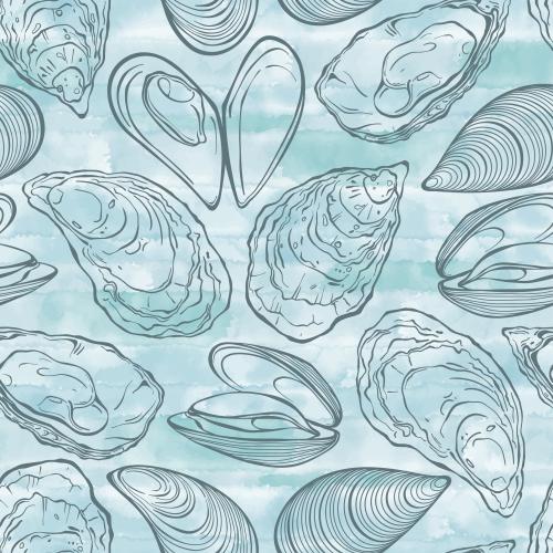 Miesmuschel. Vektor Austern und Muscheln, Konturen auf blauem Aquarell