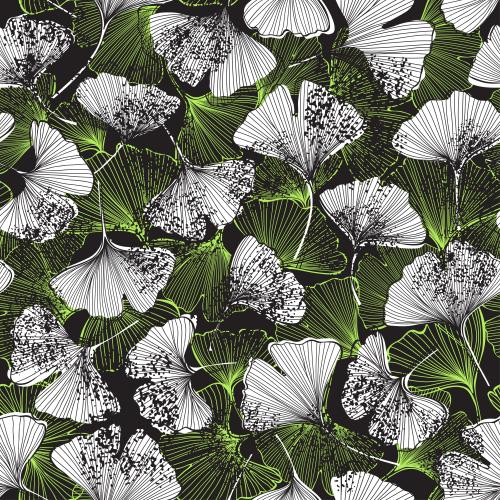Ginkgo biloba. Vektor Ginkgo biloba, Blätter auf schwarzem