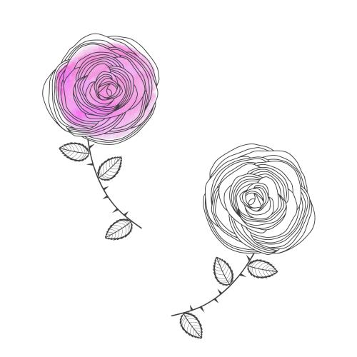 Rose. Vektor stylisierte Rosen, zwei Varianten auf weiß