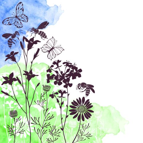 Gänseblümchen. Vektor Schmetterlinge, Bienen, Wiesenblumen, blaue und grüne Aquarellfragmente, Platz für Text, Silhouetten auf weißem