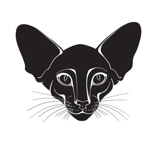 Oriental katze. Vektor Oriental Katze, Silhouette des Gesichts auf weißem