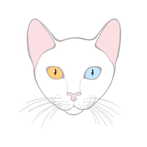 Khao manee. Vektor katze Kao-Mani, süßes Gesicht auf weißem
