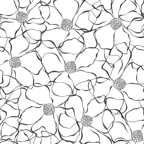 Vektorgrafik magnolienblüten, konturen auf weißem