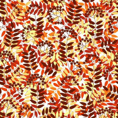 Blätter. Vektor Roteichenzweige, Blätter, Beeren auf weißem