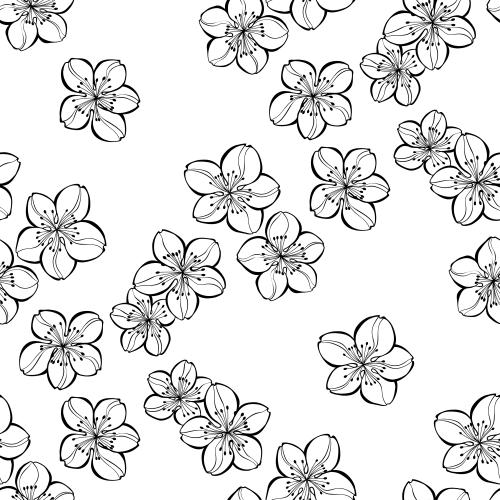 Kirschblüte. Vektor Sakura-Blumen auf weißem