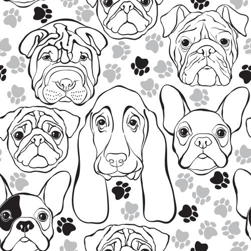 Shar pei. Vektor konturen Hundegesichter, Pfotenabdrücke auf weißem