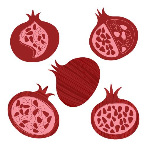Granatapfel. Vektor stylisierte granatäpfel auf weißem, verschiedene varianten
