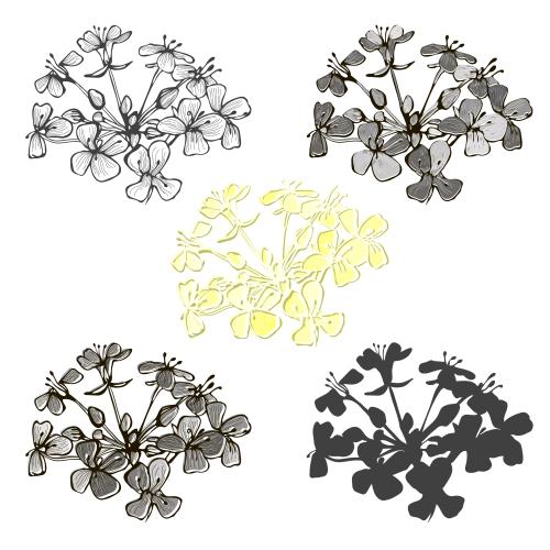 Vektorgrafik abstrakte feldblumen, fünf isolierte varianten auf weißem