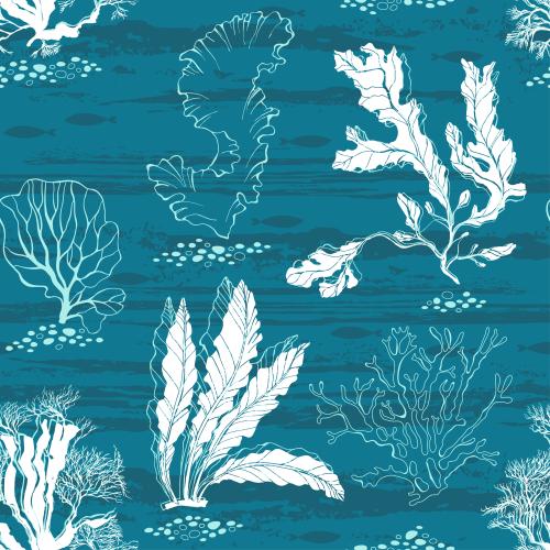 Alge. Vektor Meeresalgen, Korallen, Fische auf texturiertem blauem