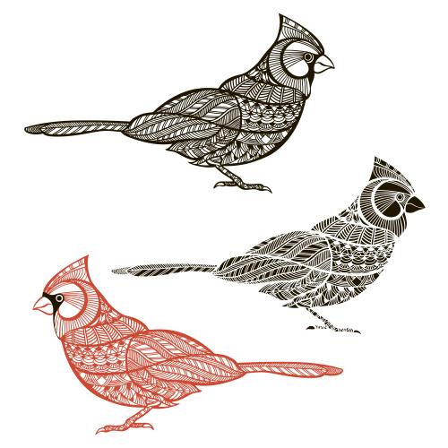 Kardinalvogel. Vektor Vogel roter Kardinal, drei Varianten auf weißem