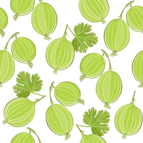 Beere. Vektor johannisbeeren auf weißem