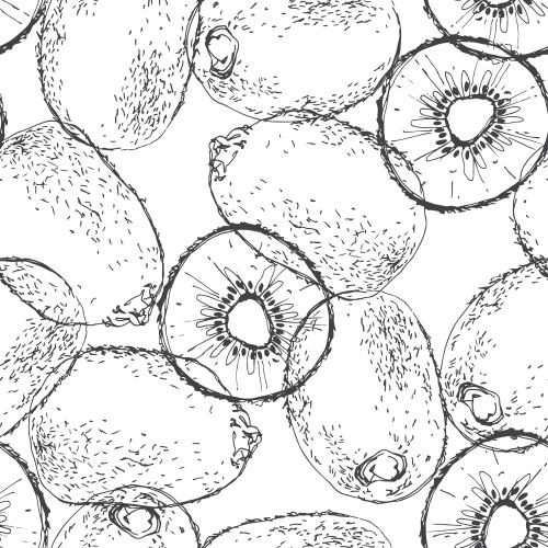 Kiwi. Vektor Kiwi auf weißem