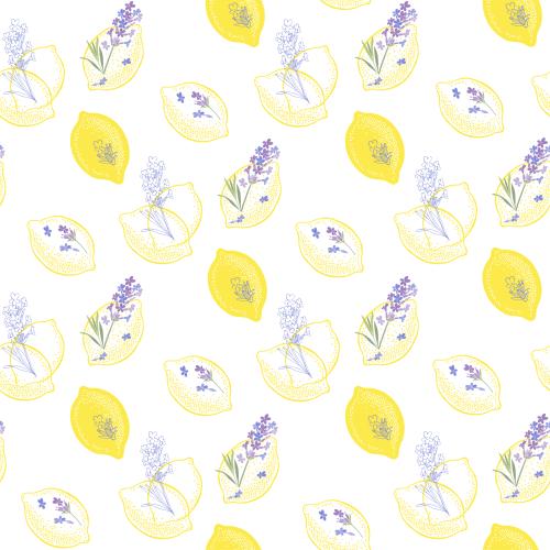 Lavendel. Vektor limonen und Lavendel auf weißem