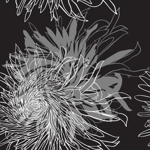 Chrysantheme. Vektor chrysanthemen auf schwarzem