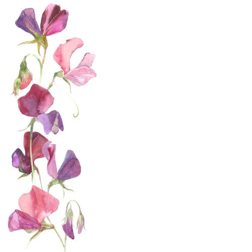 Rasterbild aquarell-duftglocken, platz für text auf weißem