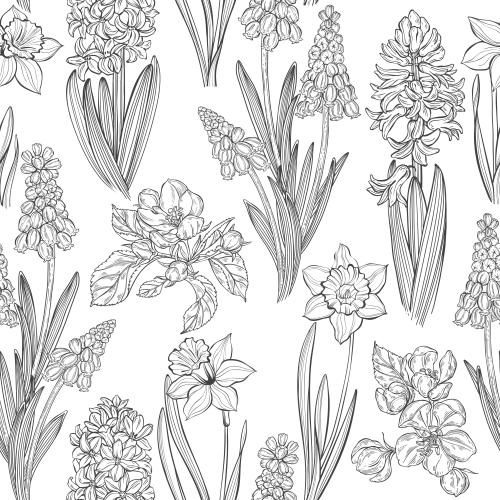 Apfelbaum. Vektor Frühjahrsblumen: Muscari, Hyazinthen, Narzissen und Apfelblüten auf weißem