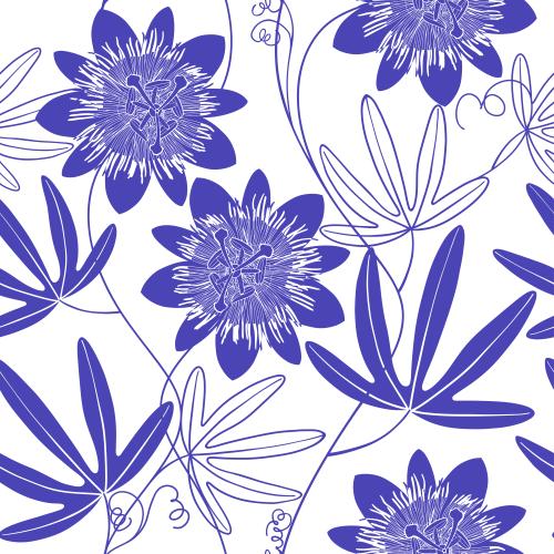Passionsblume. Vektor Passionsblume, Blumen und Blätter, violetten Silhouetten und Konturen auf weißem