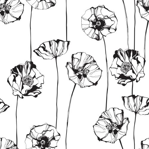 Mohn. Vektor Mohn, schwarze Konturen auf weißem