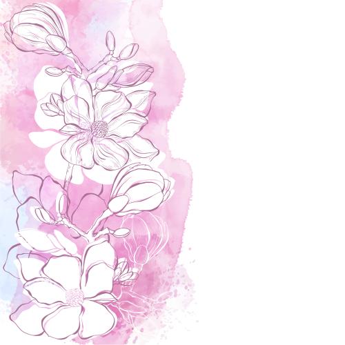 Vektorgrafik magnolie, konturen und silhouetten auf aquarell, platz für text auf weißem