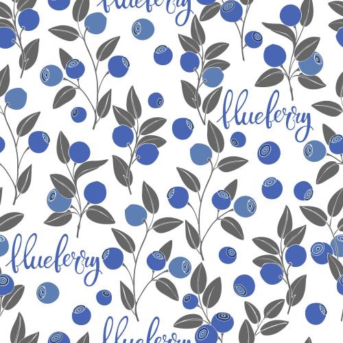 Heidelbeere. Vektor blaubeerzweige mit Beeren, Schriftzug Blueberry auf weißem