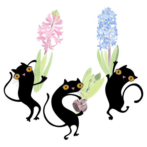 Hyazinthe. Vektor drei schwarze animierte Katzen mit Hyazinthen
