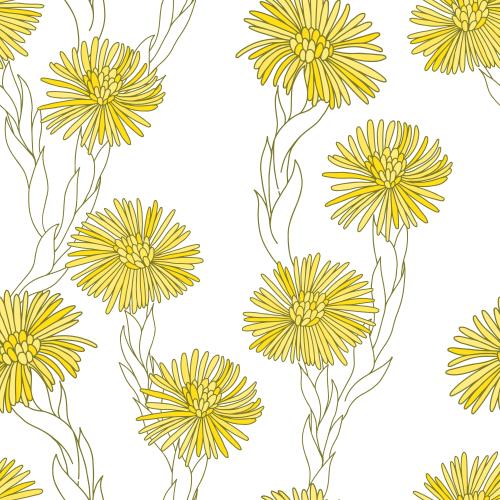 Huflattich. Vektor blumen Mutter und Stiefmutter auf weißem