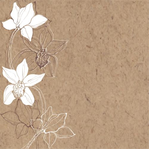 Orchidee. Vektor Orchideen, Platz Für Text Auf Kraft