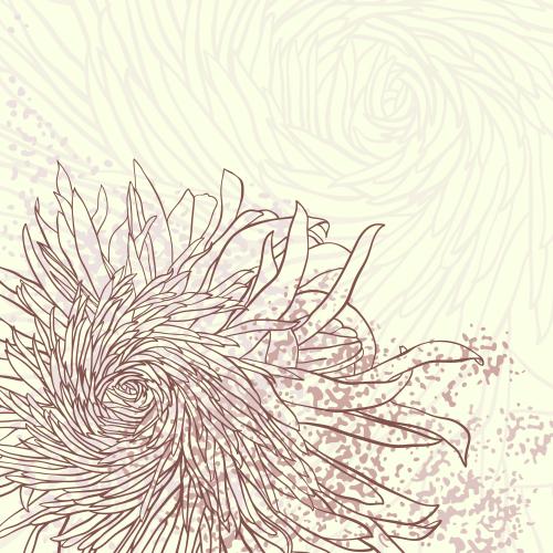 Chrysantheme. Vektor Chrysanthemen, Faktur-Element und Platz für Text