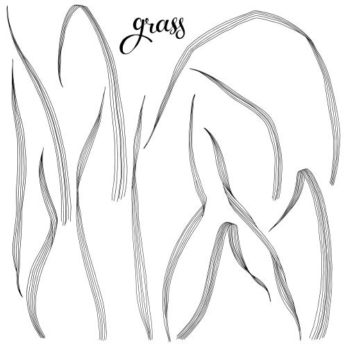 Vektorgrafik grashalme auf weiss