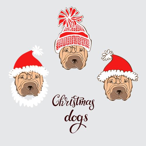 Shar pei. Vektor Sharpei, drei niedrigen Gesichter in neujahrlichen Mützen