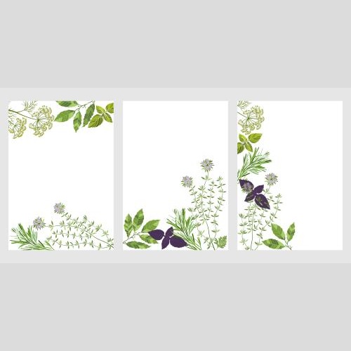 Vektorgrafik drei postkarten mit aromatischen kulinarischen kräutern auf weißem